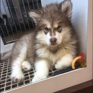 Meet your Posher, Sabrina